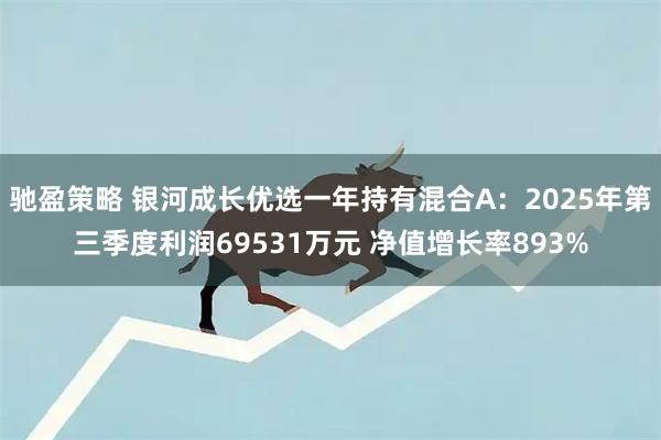 驰盈策略 银河成长优选一年持有混合A：2025年第三季度利润69531万元 净值增长率893%